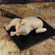 Huhn aus der Steiermark aus &Ouml;sterreich